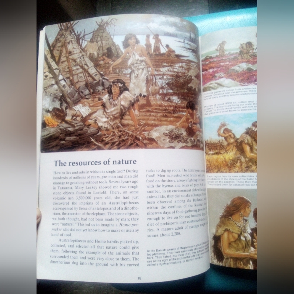 Prehistoric Times Book - Picture 5 of 8